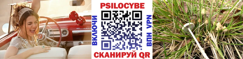 Псилоцибиновые грибы Psilocybine cubensis  Бор 